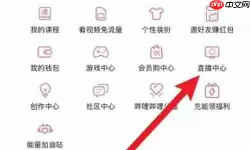 哔哩哔哩直播如何关延迟 哔哩哔哩直播设置无延迟方法介绍