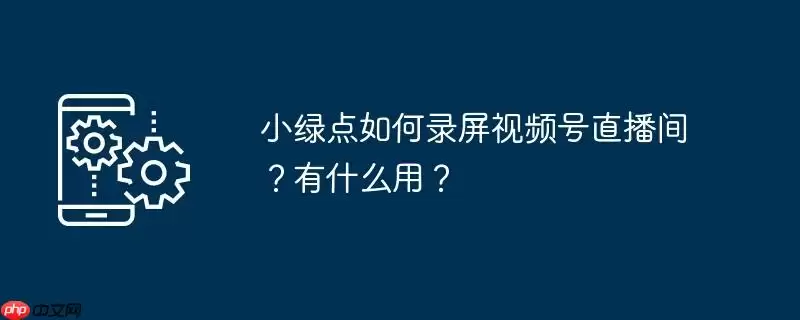 小绿点如何录屏视频号直播间？有什么用？
