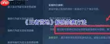 王者营地如何解除禁赛