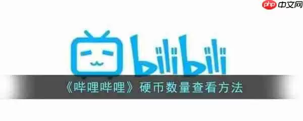 哔哩哔哩硬币数量怎么查看 硬币数量查看方法