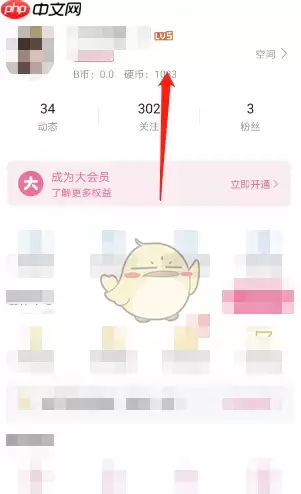 哔哩哔哩硬币数量怎么查看 硬币数量查看方法