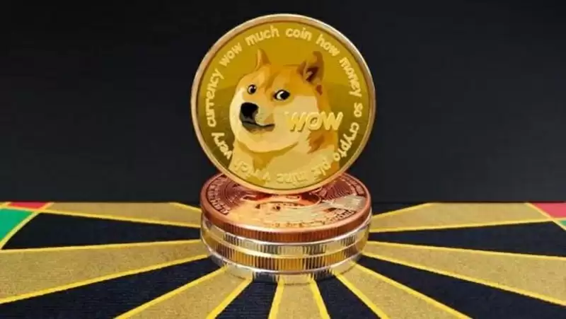 2025狗狗币DOGE值得买吗？还能不能继续涨？ - 菜鸟下载