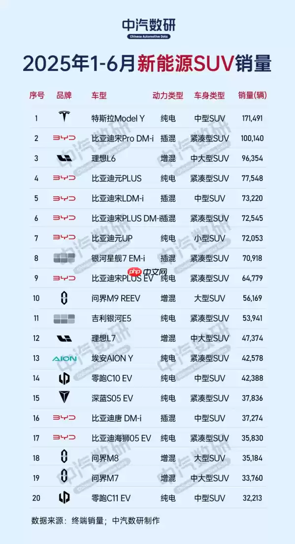 上半年新能源轿车及SUV销量榜出炉：吉利、特斯拉夺冠