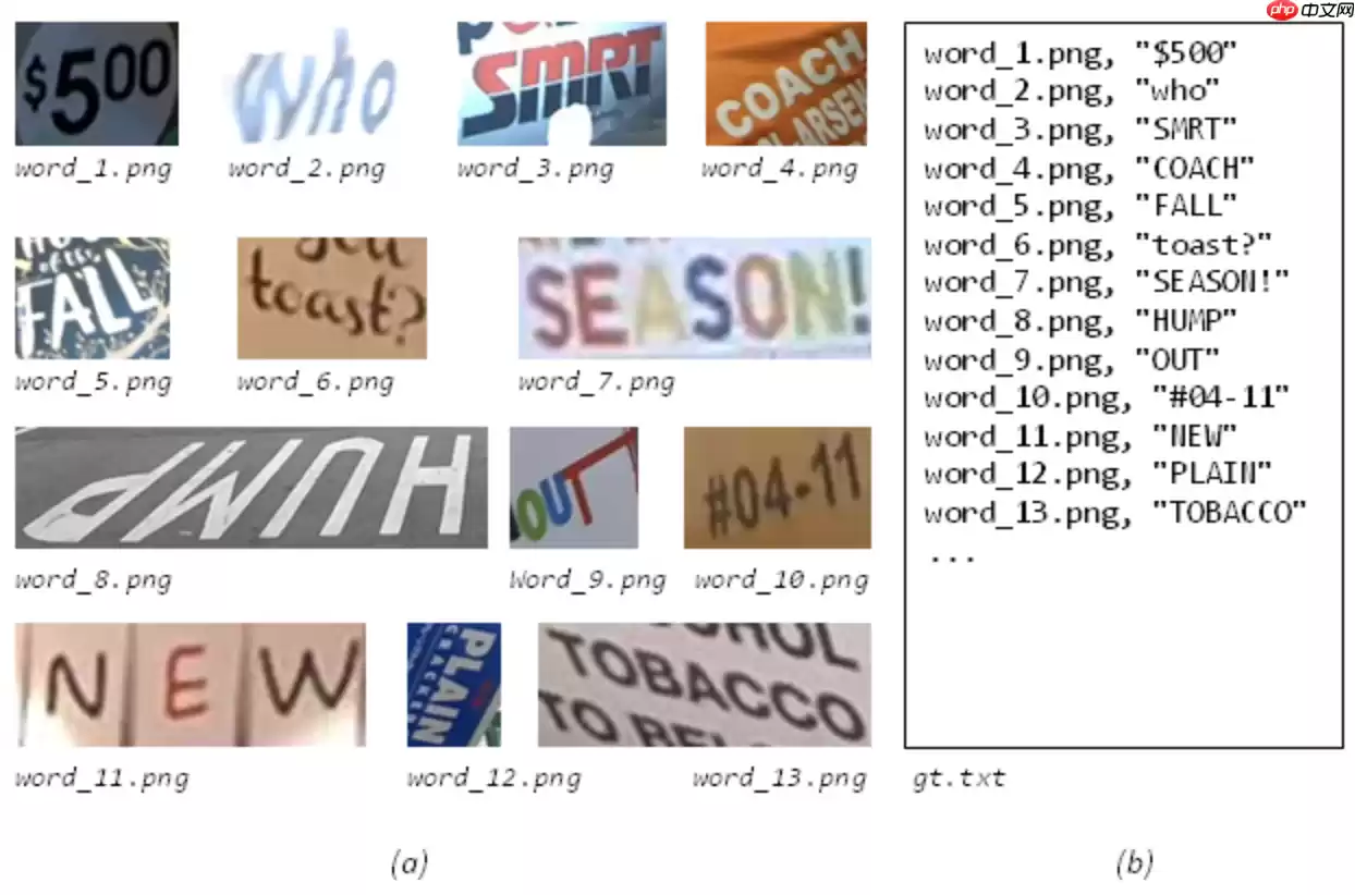 【官方】十分钟完成 PP-OCRv3 识别全流程实战 - 游乐网