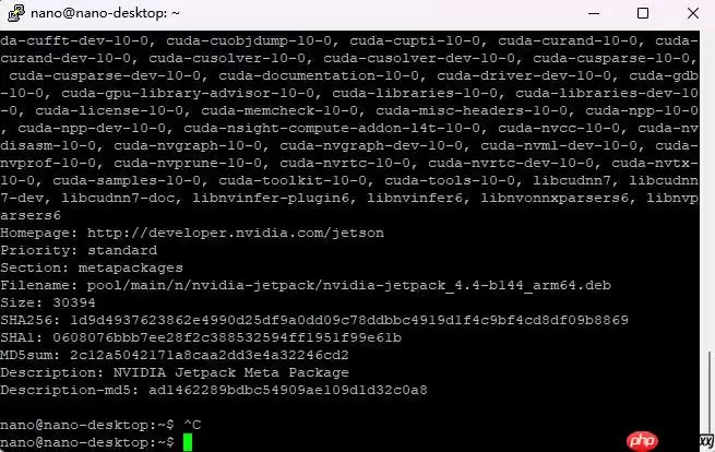 【AI达人创造营第二期】基于jetsonnano部署的手势乐器--模型部署 - 游乐网
