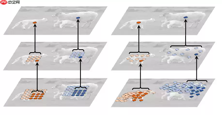 【CNN Tricks 不完全指北】基于飞桨学习CNN各个部分的提升技巧 - 游乐网