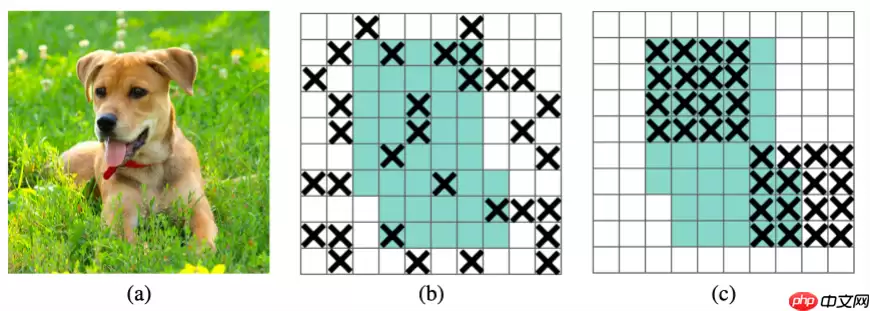 【CNN Tricks 不完全指北】基于飞桨学习CNN各个部分的提升技巧 - 游乐网