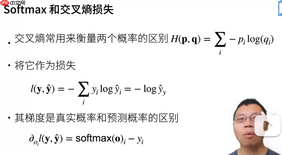 跟着王小美和三岁一起学paddle--图像分类篇! - 游乐网