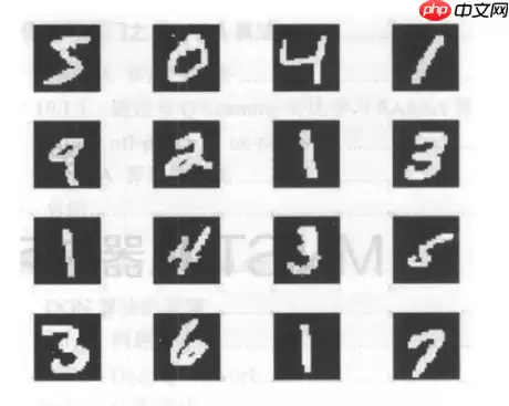 跟着王小美和三岁一起学paddle--图像分类篇! - 游乐网