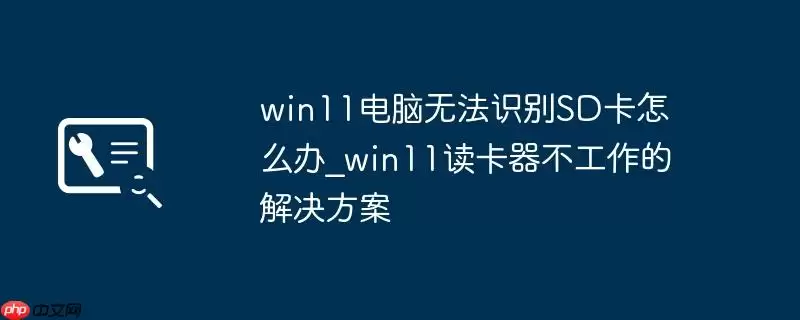 win11电脑无法识别SD卡怎么办_win11读卡器不工作的解决方案