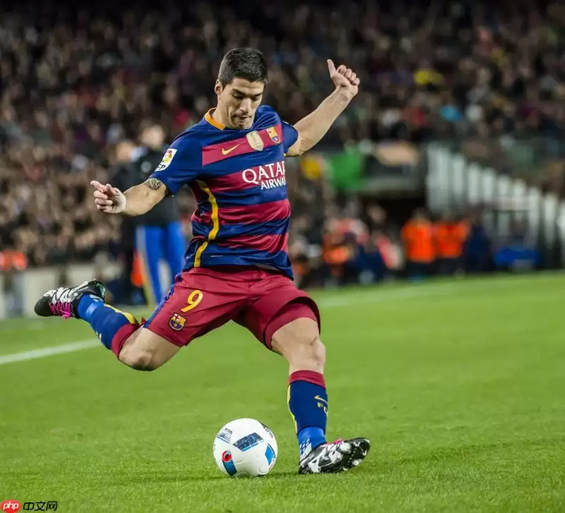 个人实现的反向文心(无需训练的AI看图说话,你不心动?) - 游乐网