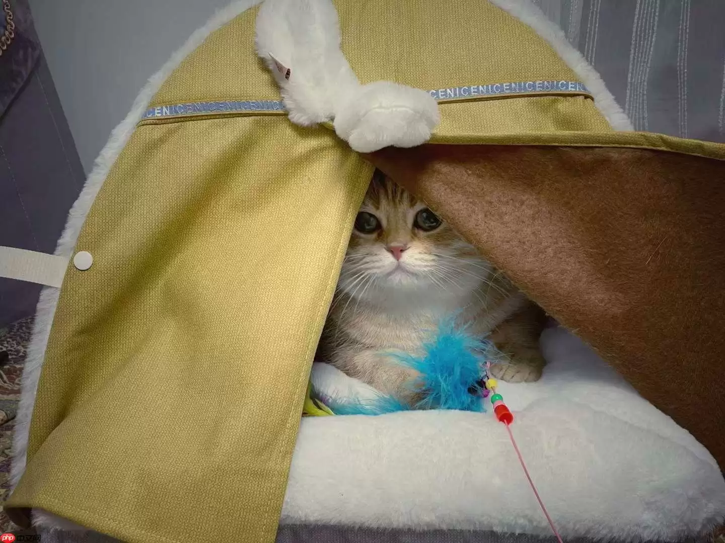 个人实现的反向文心(无需训练的AI看图说话,你不心动?) - 游乐网