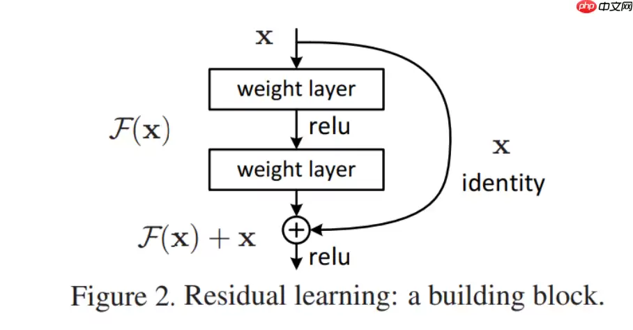 应用体验：肺炎CT图像识别（Grad-CAM） - 游乐网