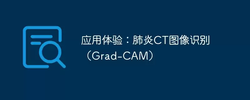 应用体验：肺炎ct图像识别（grad-cam） - 游乐网