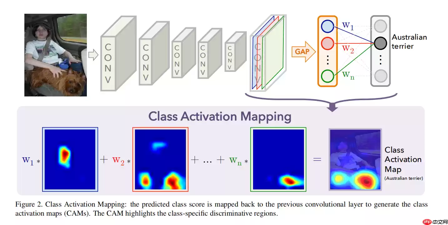 应用体验：肺炎CT图像识别（Grad-CAM） - 游乐网