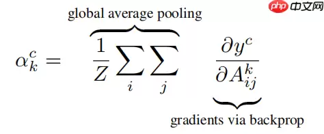 应用体验：肺炎CT图像识别（Grad-CAM） - 游乐网