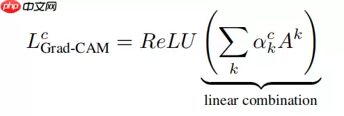 应用体验：肺炎CT图像识别（Grad-CAM） - 游乐网