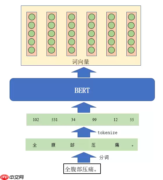 中文电子病历命名实体识别 - 游乐网