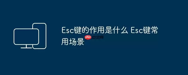 Esc键的作用是什么 Esc键常用场景
