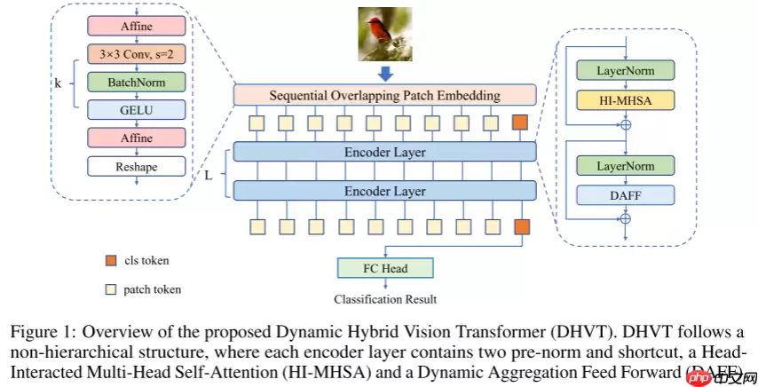 【NIPS 2022】DHVT：弥补ViT与CNN在小数据集上的性能差距 - 游乐网