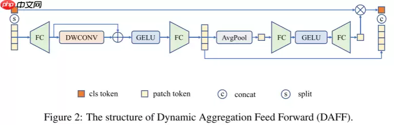 【NIPS 2022】DHVT：弥补ViT与CNN在小数据集上的性能差距 - 游乐网