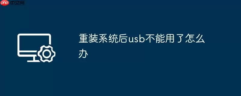 重装系统后usb不能用了怎么办