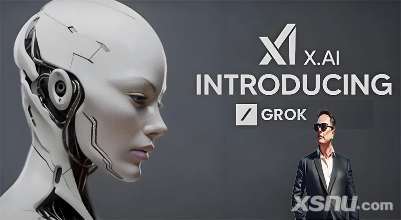 马斯克、xAI、Grok (图片来源:官方或第三方截图) 马斯克、xAI、Grok