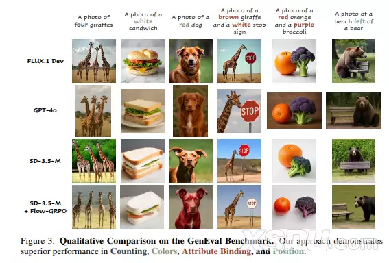 image.webp image.webp