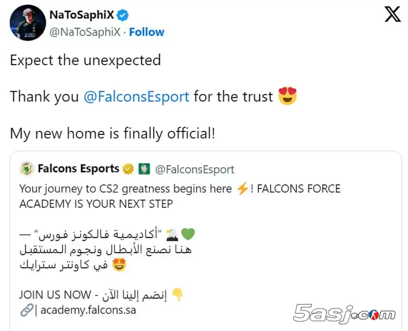 Falcons官宣成立青训队 前NIP女队教练NaToSaphiX执掌教鞭‌