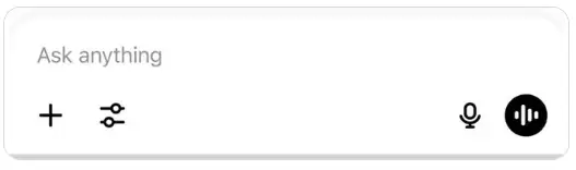 image.webp image.webp