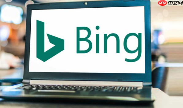 Bing浏览器PDF无法打开解决 Bing浏览器文档查看器配置方法