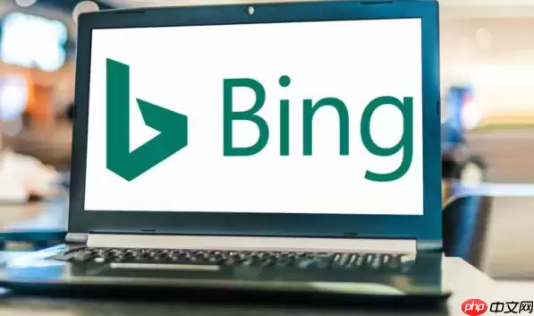 Bing浏览器页面翻译失效处理 Bing浏览器多语言支持配置