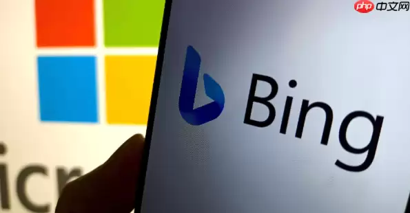 Bing浏览器视频播放卡顿处理 Bing浏览器流媒体优化解决方案