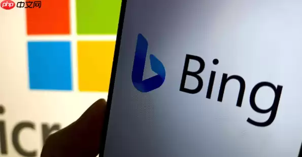 Bing浏览器播放声音异常解决 Bing浏览器音频输出问题修复