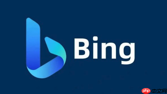 Bing浏览器网页字体模糊解决 Bing浏览器显示效果优化方法