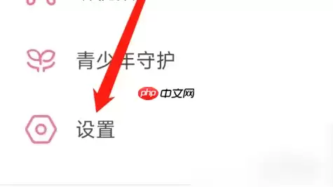 b站app如何设置允许其他声音 哔哩哔哩进行其他播放设置方法