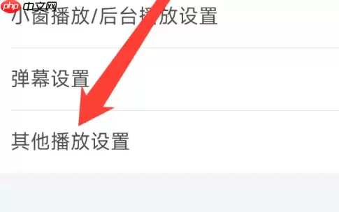 b站app如何设置允许其他声音 哔哩哔哩进行其他播放设置方法