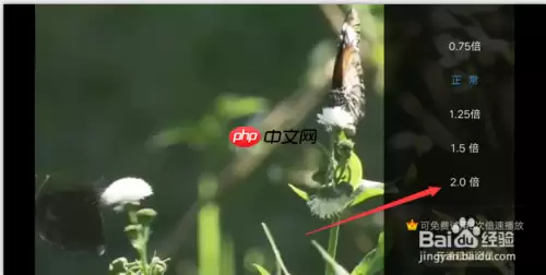 百度云怎么倍速 百度网盘倍速播放设置方法