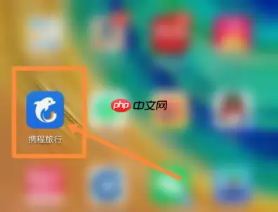 携程怎么办理值机手续 携程办理值机方法介绍