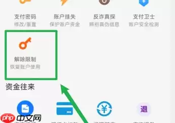 蚂蚁花呗如何解冻 花呗账号冻结解冻方法介绍