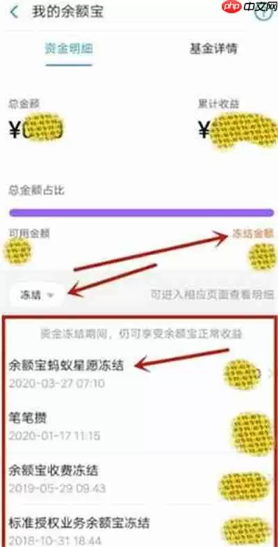 支付宝余额被冻结了怎么办 支付宝余额被冻结处理教程