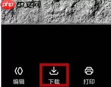 百度云网盘怎么下载照片 百度云网盘下载照片方法