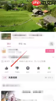 哔哩哔哩怎么3连 哔哩哔哩一键三连方法介绍