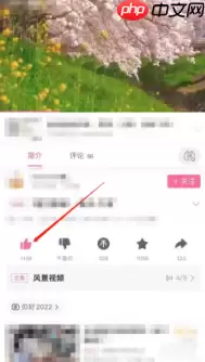 哔哩哔哩怎么3连 哔哩哔哩一键三连方法介绍