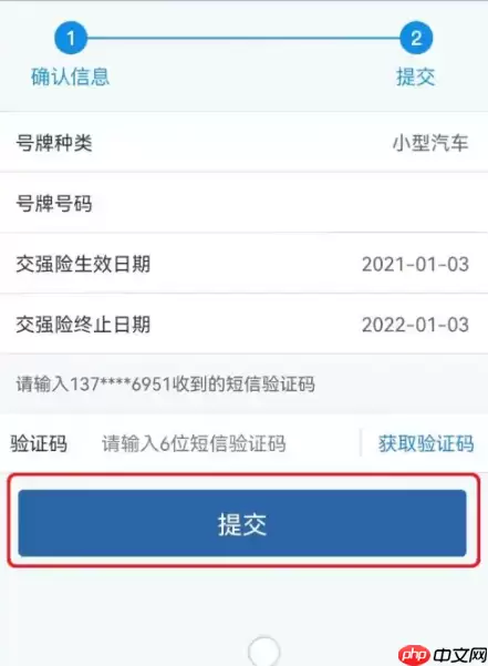 交管12123如何申请电子*标志 交管12123申请电子*标志教程
