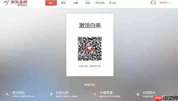 京东商城为什么一定要开通打白条