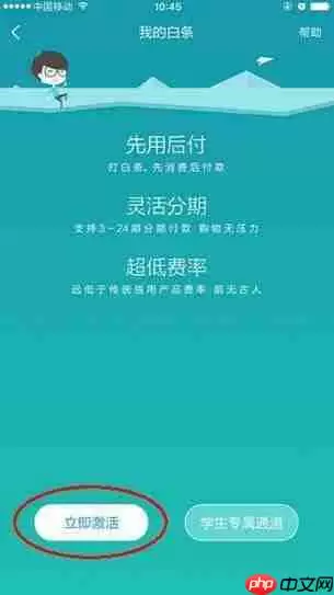 京东商城为什么一定要开通打白条