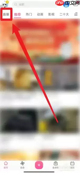 哔哩哔哩直播如何点赞  哔哩哔哩直播点赞方法介绍