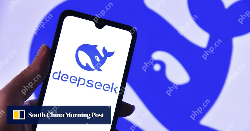 DeepSeek安装好后怎么设置初始参数 第一次使用推荐配置和步骤说明 - 游乐网