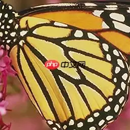 EDSR图像超分重构 - 游乐网